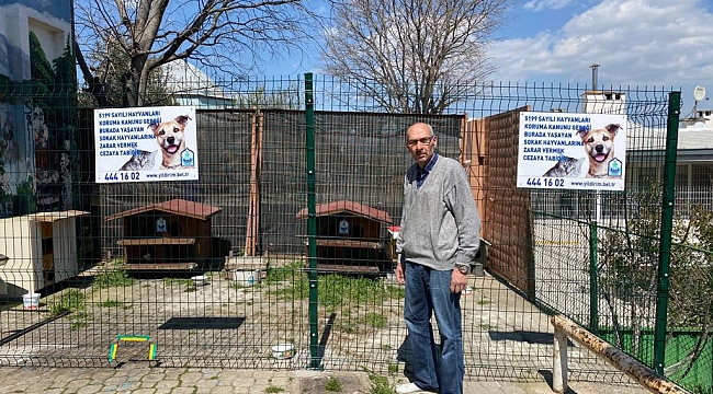 YILDIRIM’IN SOKAKLARINDA AÇ HAYVAN KALMAYACAK