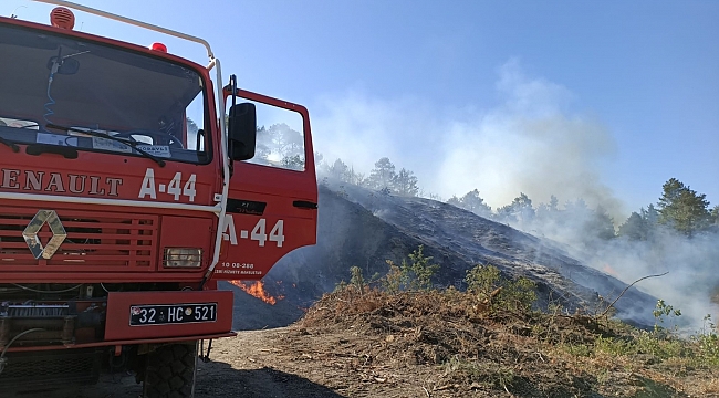Burdur'da orman yangını