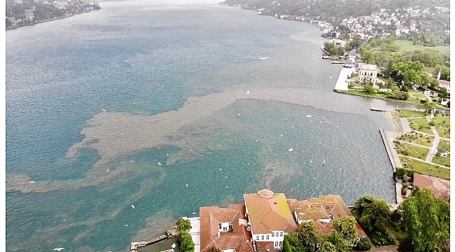 İstanbul Boğazı'nda suyun rengi değişti, çamura bulandı