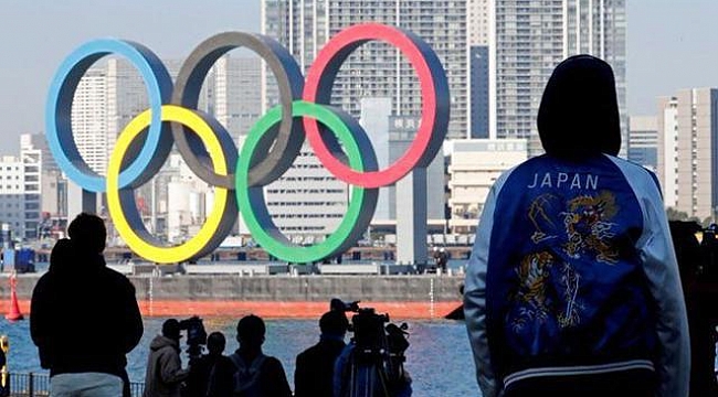 Japonya'da hükümete