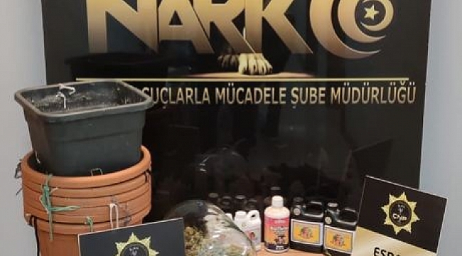 Öğrenci gardırobu uyuşturucu serası oldu