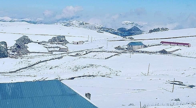 Ordu'da Mayıs ayında kar sürprizi