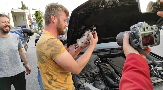 Otomobilin motorundan çıkardığı minik kediyi sahiplendi
