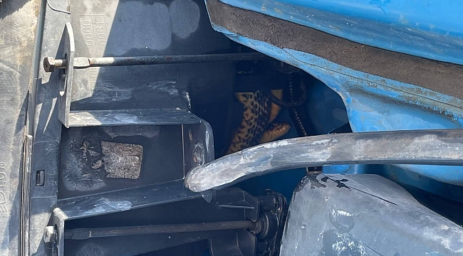 Aracın motoruna giren yılan korkuttu