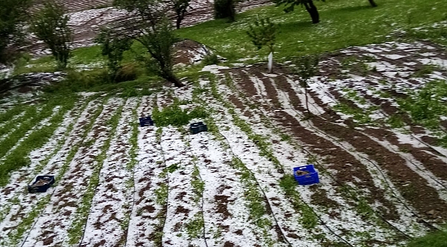 Bursa’da dolu yağışı mahsülleri vurdu
