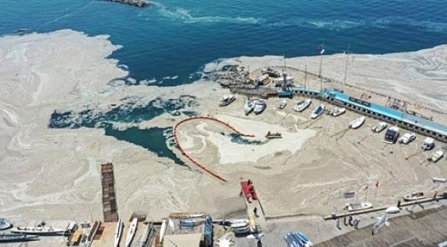 Marmara denizinden kötü bir haber daha!