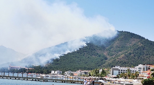 Marmaris'te orman yangını