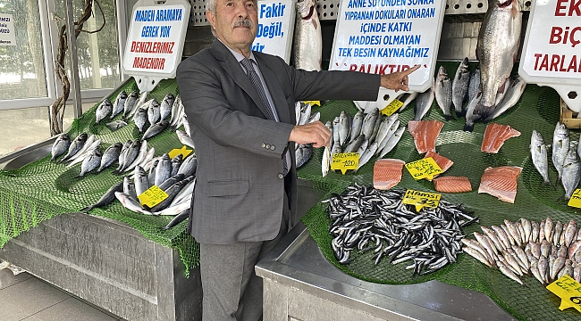 Müsilaj balık tezgahlarını etkileyecek mi?