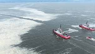 Müsilaja sebep yüzde 70'i karasal nedenler, yüzde 60 nedense sanayi atıkları
