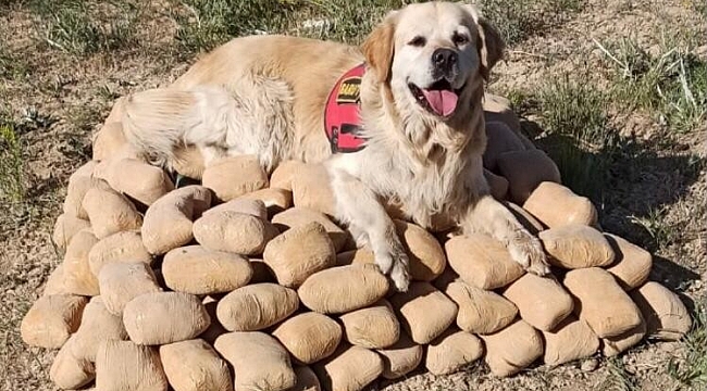 Toprağa gömülü 233,5 kilo eroin ele geçirildi