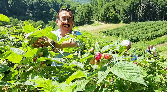 Ahududu yüzleri güldürdü
