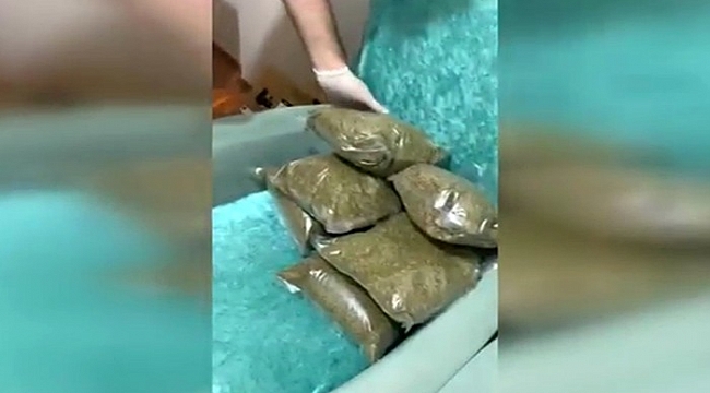 Çöp poşetinden bonzai, yemek masasının içinden kokain çıktı