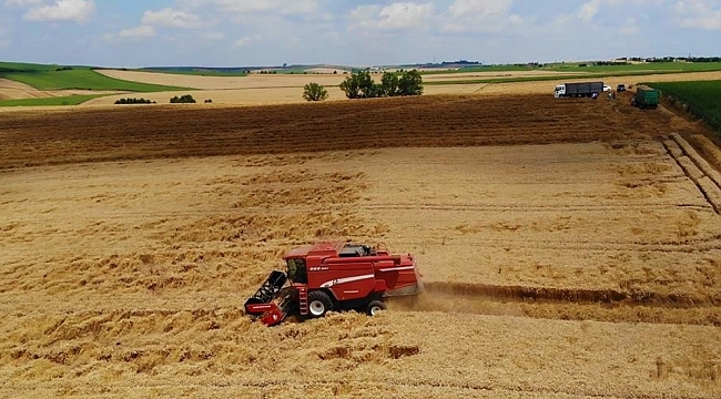 Doğuda kuraklık, Trakya'da görülmemiş bolluk