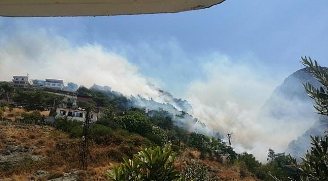 Hatay'da orman yangını: Alevler evlere sıçradı