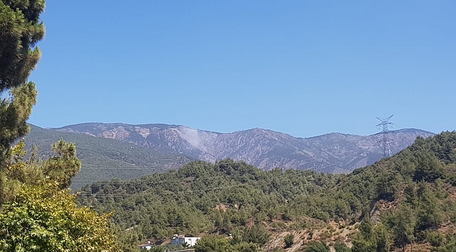 Hatay'da orman yangını