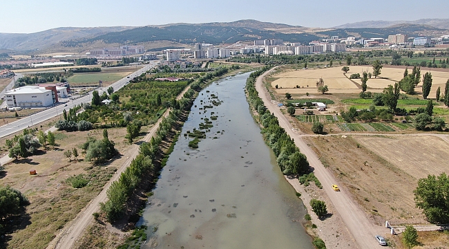 Irmaktan su yerine adeta ölü balık akıyor