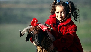 Kurban bayramı kaç gün tatil olacak? 2021 yılı resmi tatiller hangi günler? Kaç gün tatil yapılacak?