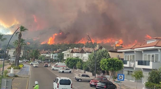 Marmaris'te yangının bilançosu çok ağır oldu