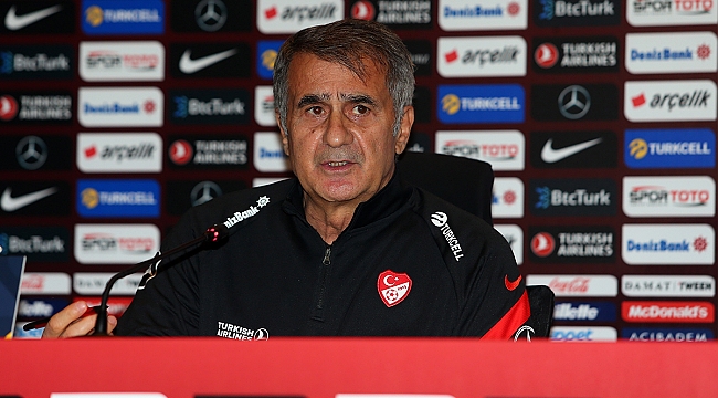 Şenol Güneş'ten Euro 2020 açıklaması!