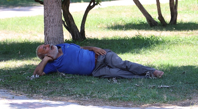 Sıcaktan fenalaşıp gölgede uyudu, vatandaşlar öldü sandı