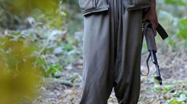 Terör örgütü PKK'da çözülme devam ediyor: 5 PKK'lı daha teslim oldu