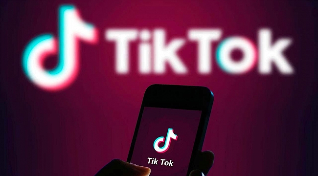 Tiktok 7.3 milyon şüpheli hesabı kapattı