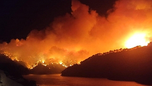 Türkiye alev alev yanıyor! 9 İlde yangın