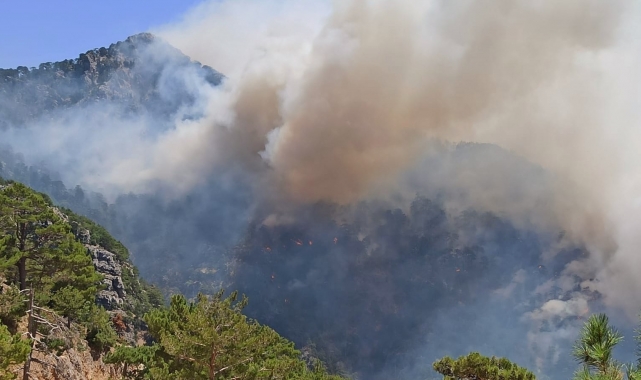 Akseki'deki orman yangınıyla ilgili bir şüpheli tutuklandı