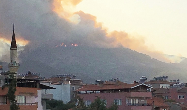 Aydın'da orman yangını