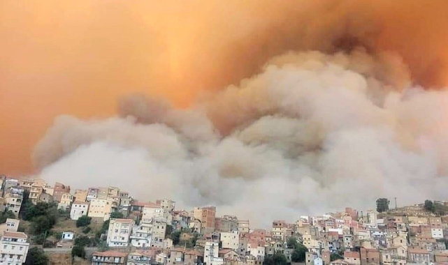 Cezayir'de 31 noktada orman yangını çıktı: 4 ölü, 3 yaralı