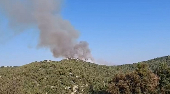 Demre'deki orman yangını söndürüldü