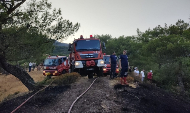 Hatay'da orman yangını