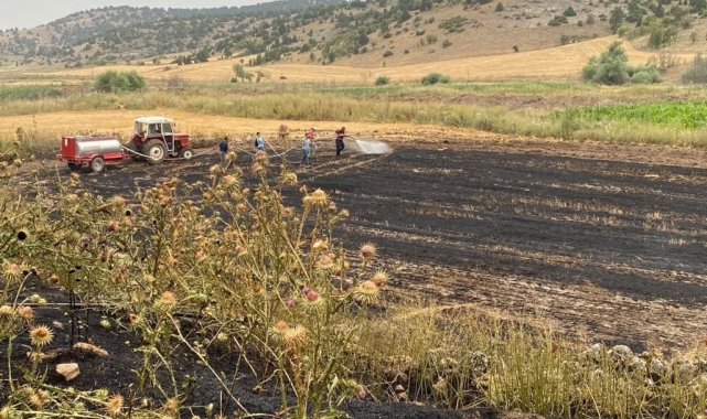 Jandarma ve köylüler yangını 500 dekarlık buğday ekili alana sıçramadan söndürdü