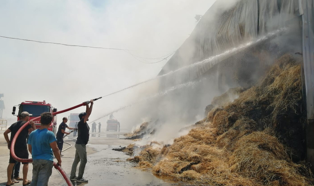 Orman yakma girişiminde bulunan çocukların evinde, silah ve mühimmat bulundu