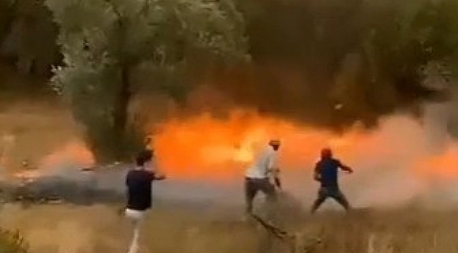 Patlayan kozalaklar saniyeler içinde yangını böyle büyüttü