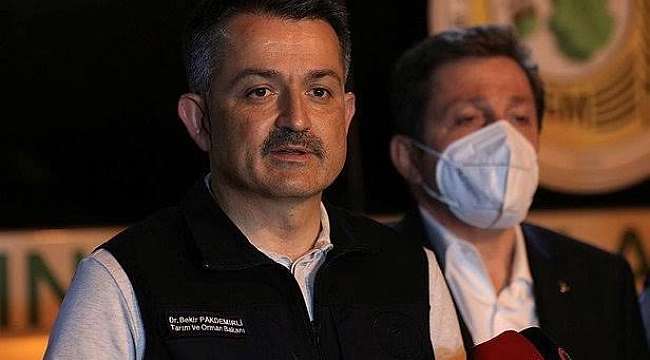 Tarım ve Orman Bakanı Pakdemirli: "137 orman yangını kontrol altında, 13 orman yangını devam ediyor"