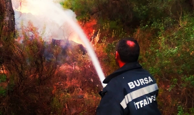 Bursa'dan yangın bölgesine takviye sürüyor