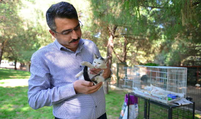 Yıldırım'da can dostları emin ellerde