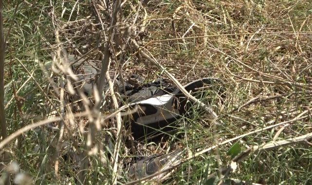 Yol kenarında erkek cesedi bulundu