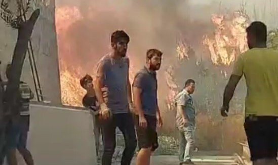 Bodrum'da yangın paniği, alevler evlere sıçramadan söndürüldü