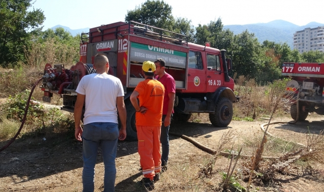 Bursa'da orman yangını