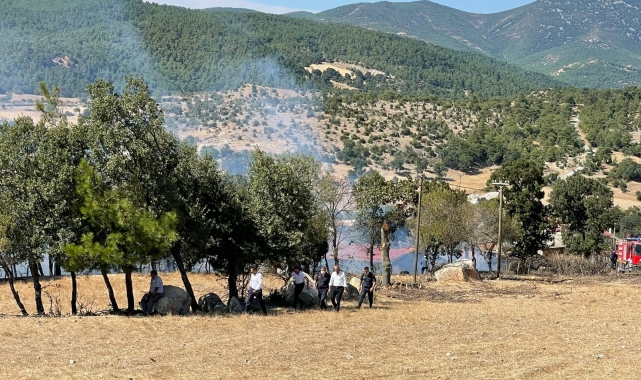 Çanakkale'de orman yangını