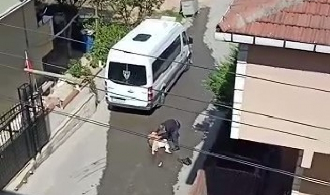 Cani koca tutuklandı