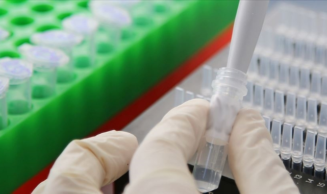 DSÖ, Kovid-19'un kökenine ilişkin araştırmalarına tekrar başlayacak