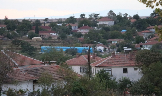 Edirne'de kırmızı alarm: Kan emen sinek bulaştırdı, 8 köyde ‘mavi dil' karantinası başlatıldı