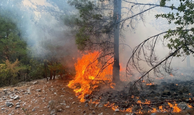 Muğla'da 3 günde 37 yıldırım yangını