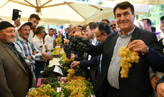 Osmangazi’de ‘Üzüm’ vakti