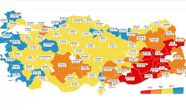Türkiye'nin batı kıyısındaki şehirler aşılamada maviye boyandı