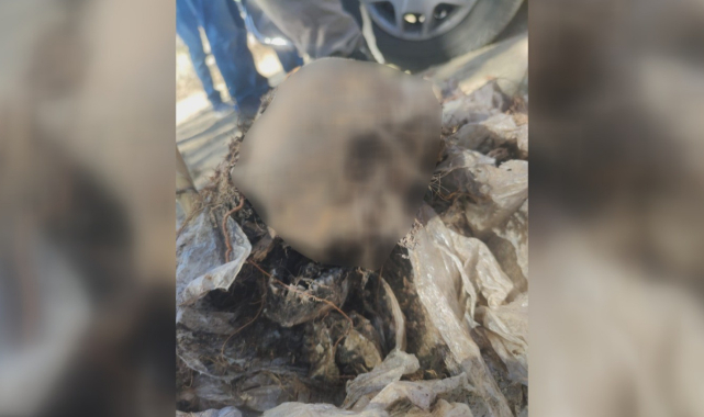 9 yıllık cinayet çözüldü; kardeşlerin cesedi hobi bahçesinde bulundu