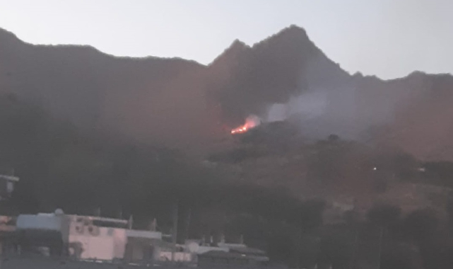 Bodrum 2 noktada yangın çıktı